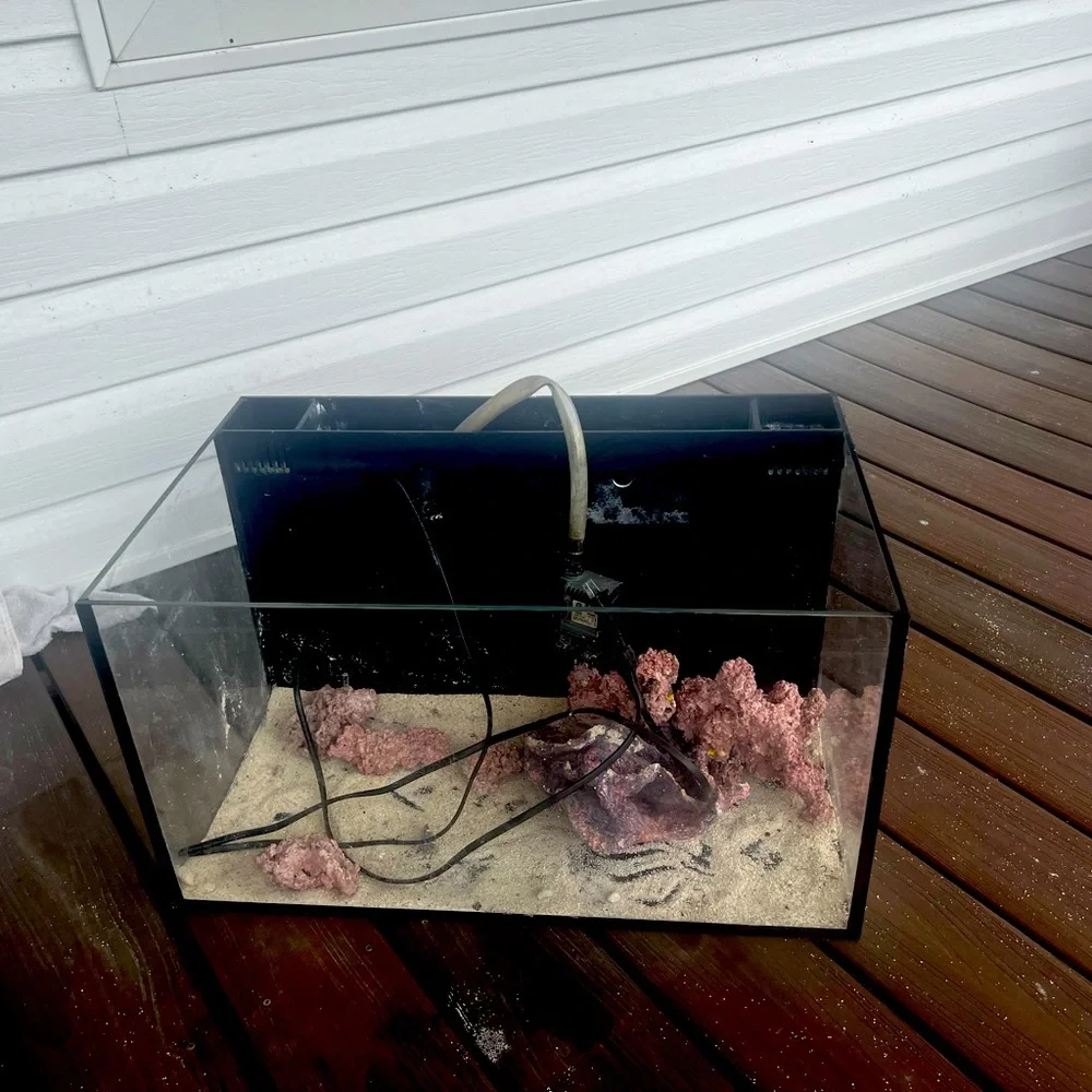 Fish tank
